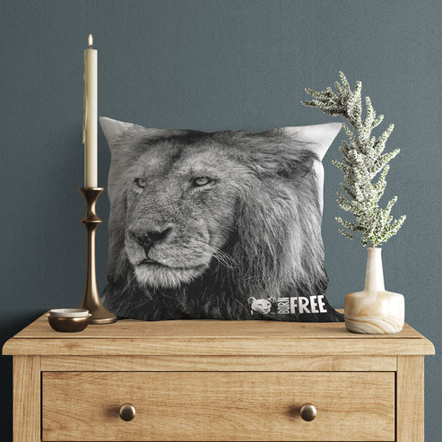Handsome Lion Black and White Organic Cushion - Born Free Photography