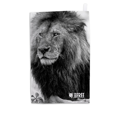 Handsome Lion Black and White Tea Towel - Born Free Photography