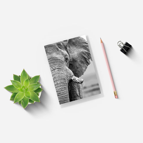 African Elephant Black and White A5 Notepad - Born Free Photography