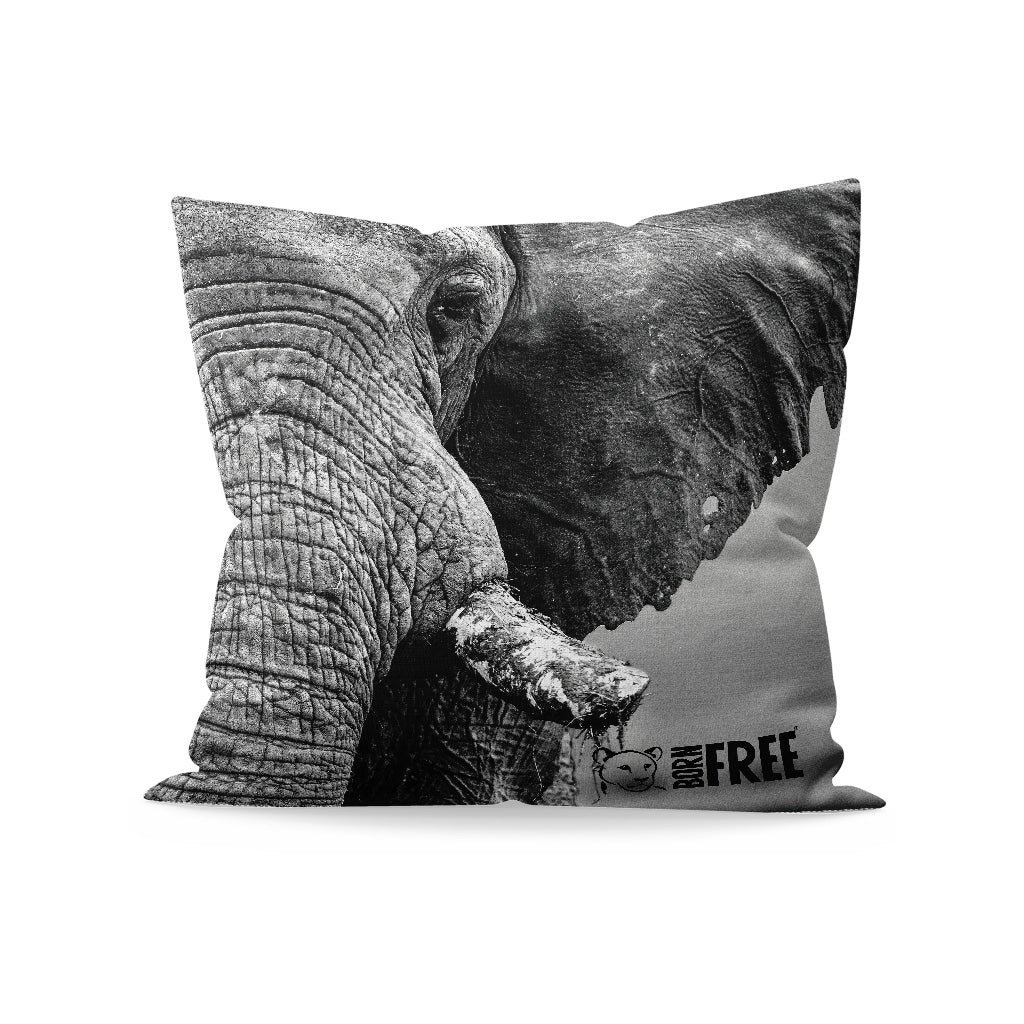 African Elephant Black and White Organic Cushion - Born Free Photography
