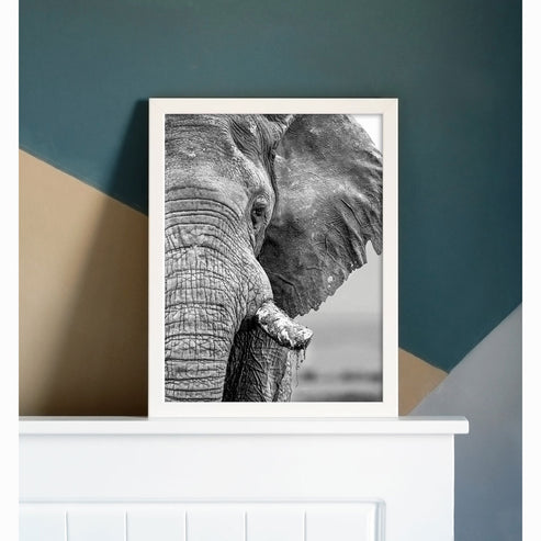 African Elephant Black and White Art Print - Born Free Photography