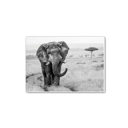 Elephant in the Wild Black and White A5 Notepad - Born Free Photography