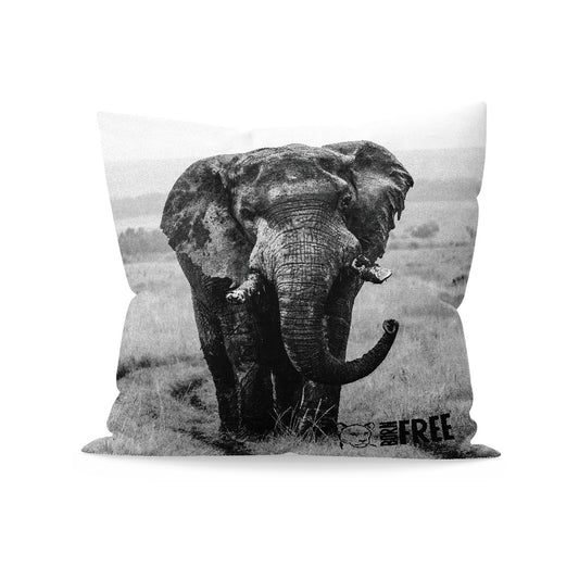 Elephant in the Wild Black and White Organic Cushion - Born Free Photography