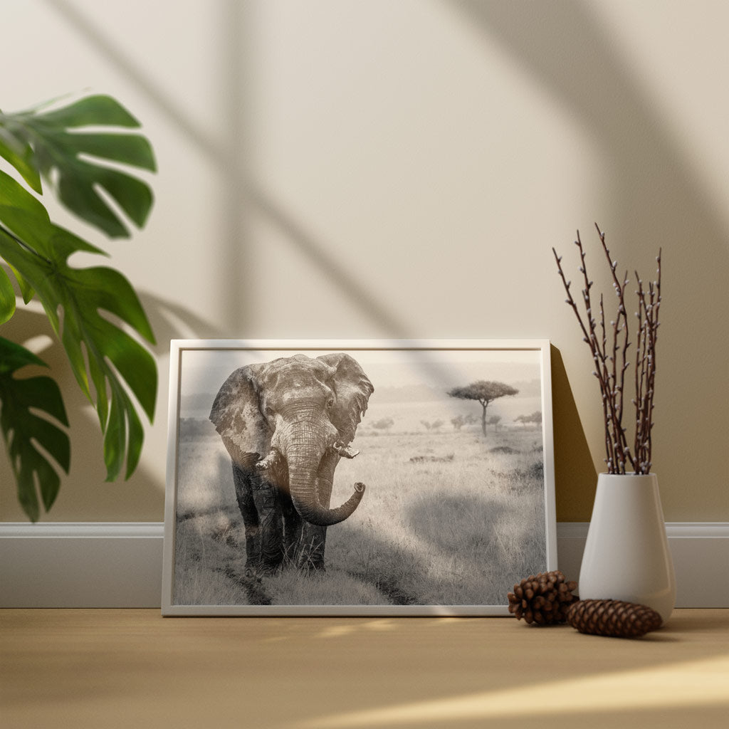 Elephant in the Wild Black and White Art Print - Born Free Photography