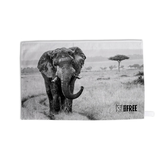 Elephant in the Wild Tea Towel - Born Free Photography