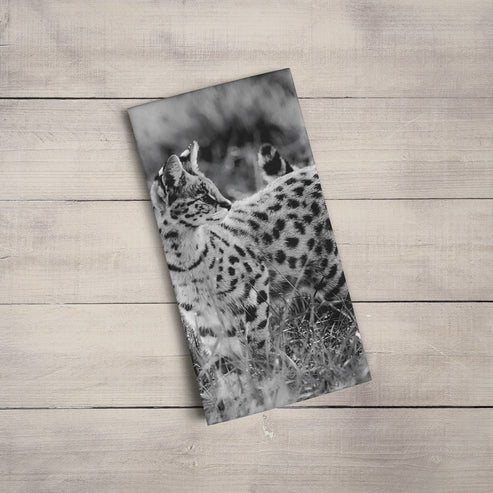 Serval Cat in Black and White Organic Tea Towel - Born Free Photography
