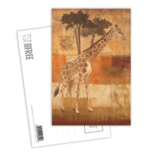Animals on Safari Postcard Pack of 8