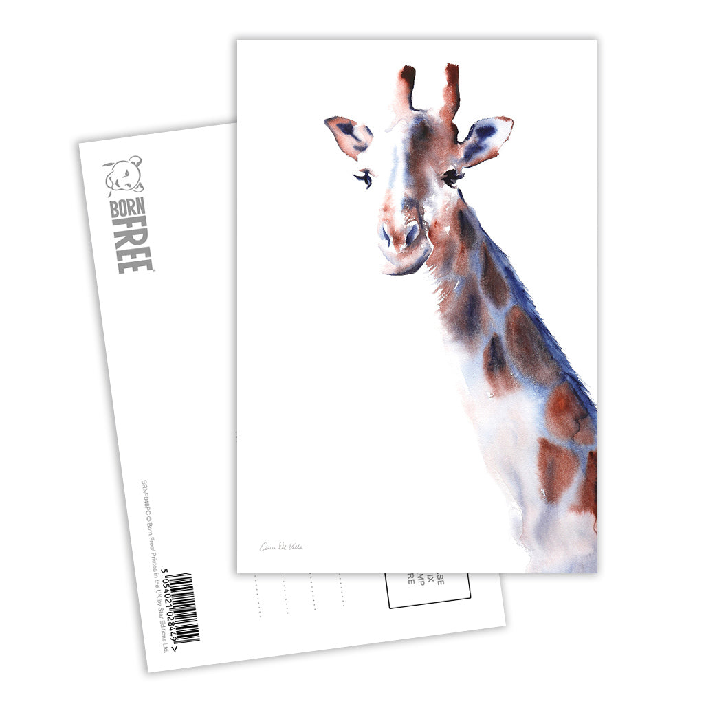 Blue and Copper Giraffe Postcard Pack of 8