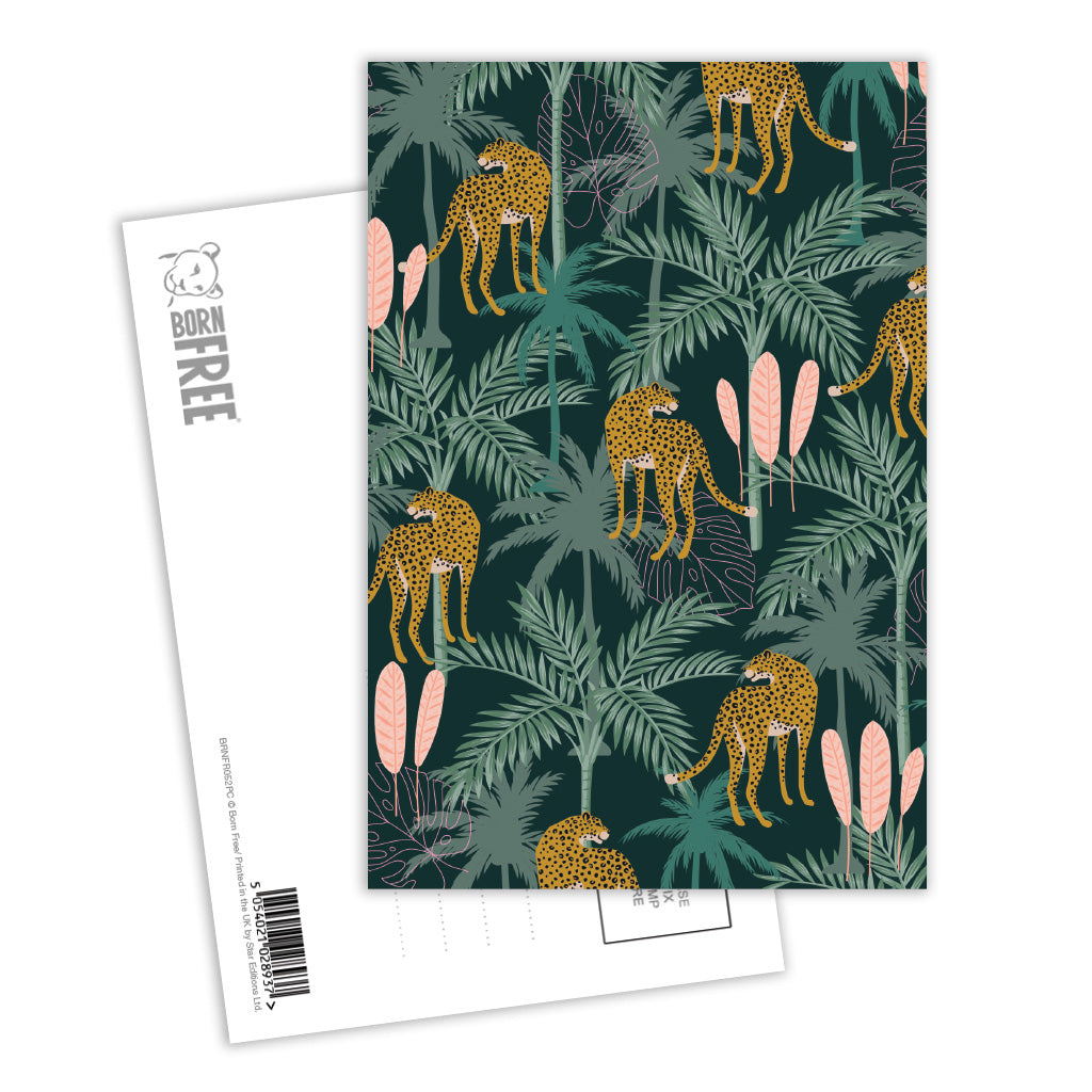 Everyday Jungle Cats Postcard Pack of 8