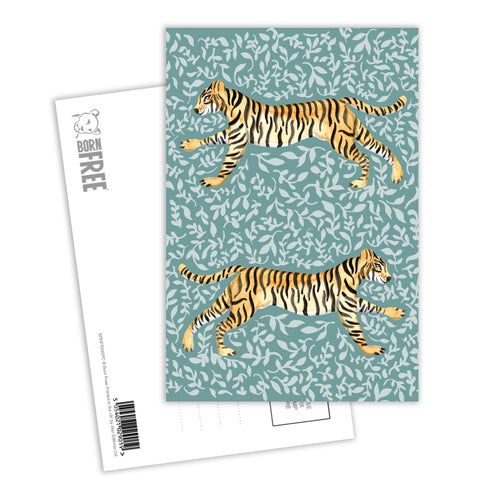 Everyday Tiger Postcard Pack of 8