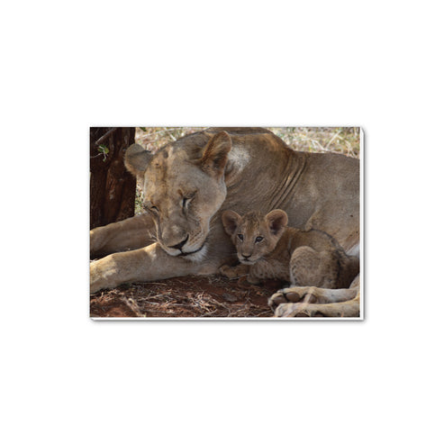 Lioness & Cub A5 Notepad - Born Free Photography