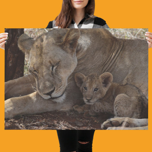 Lioness & Cub Art Print - Born Free Photography