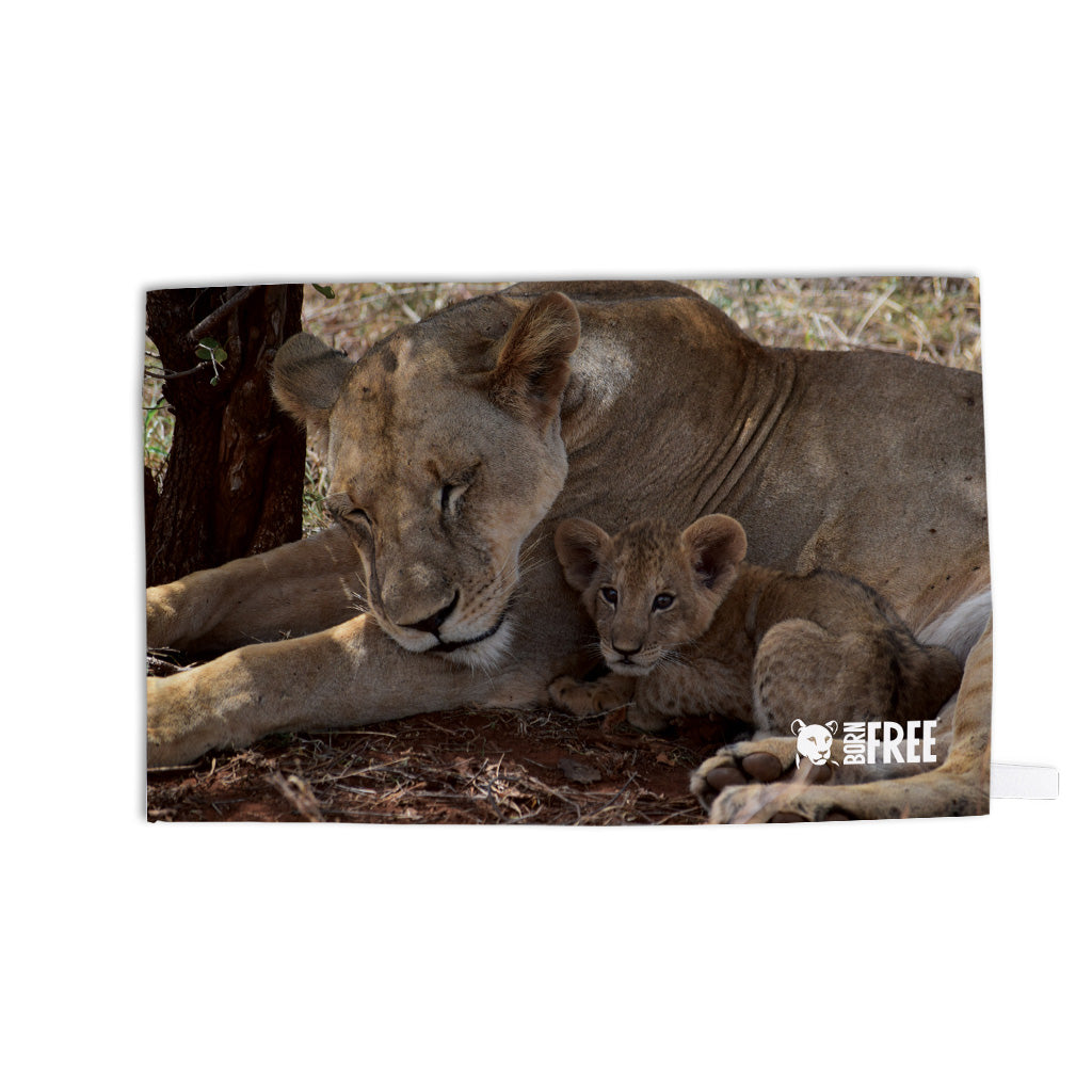 Lioness & Cub Tea Towel - Born Free Photography