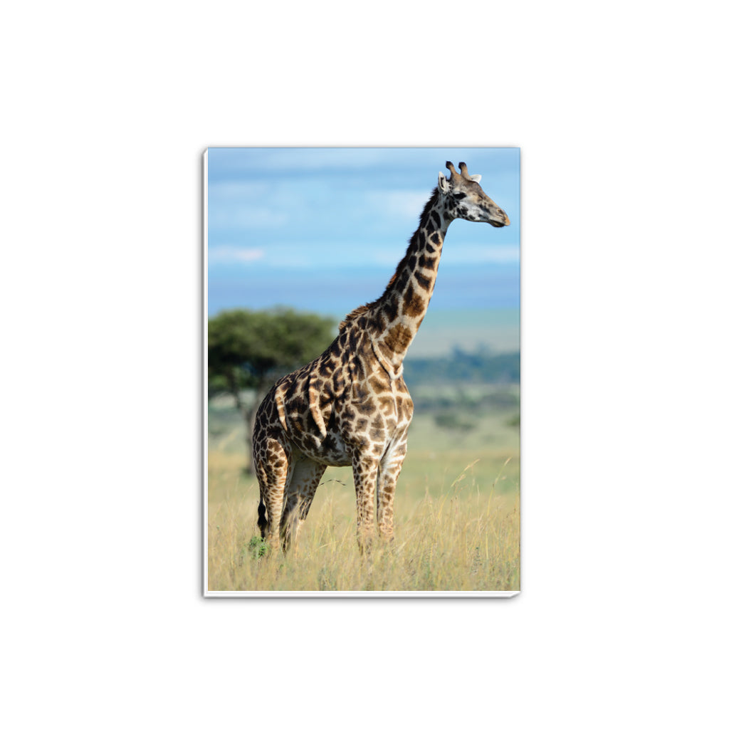 Giraffe A5 Notepad - Born Free Photography