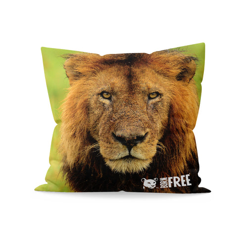 Stalking Lion Organic Cushion - Born Free Photography