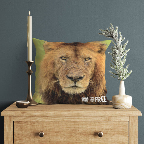 Stalking Lion Organic Cushion - Born Free Photography