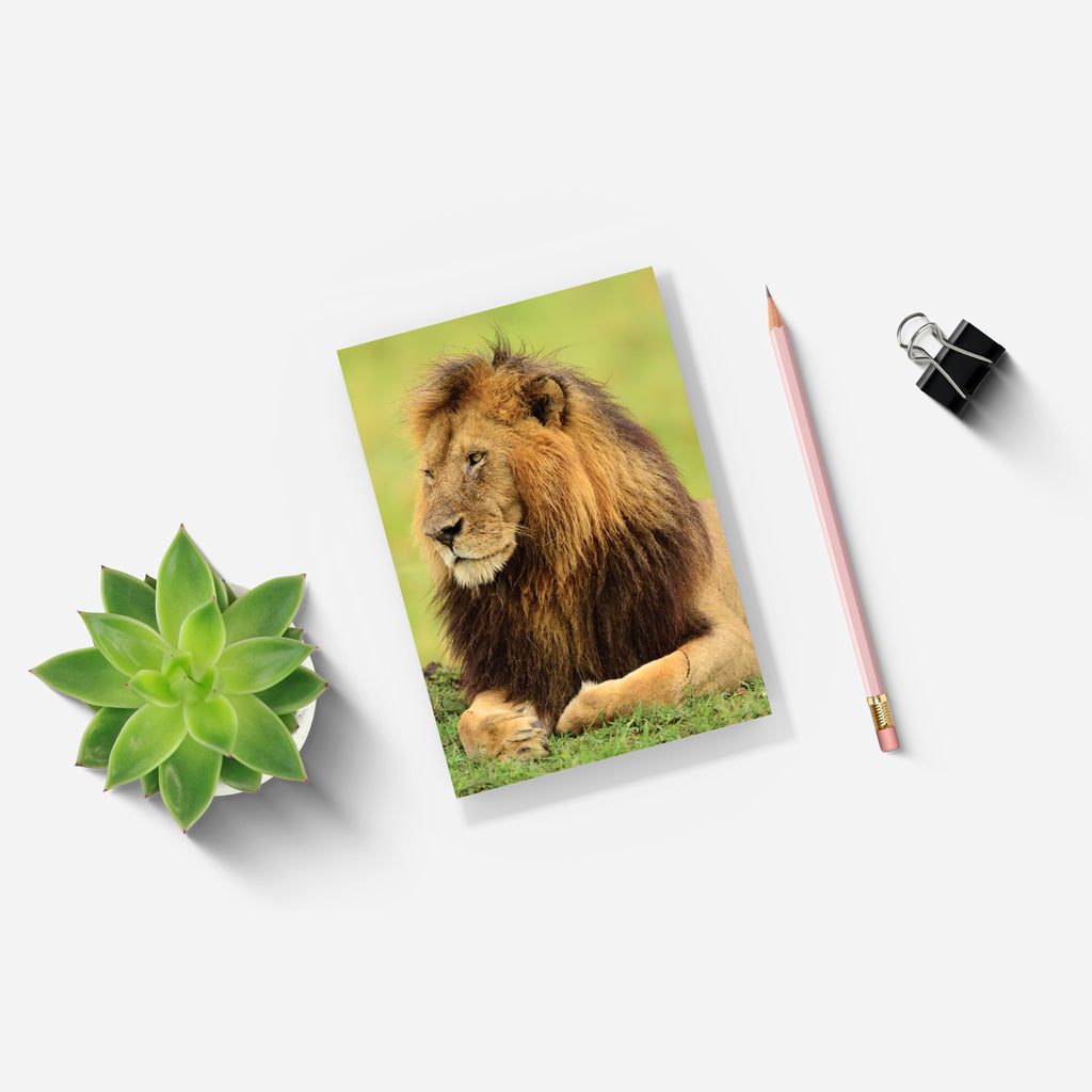 Lion Notepad Lion A5 Notepad by Will Travers – Born Free Shop