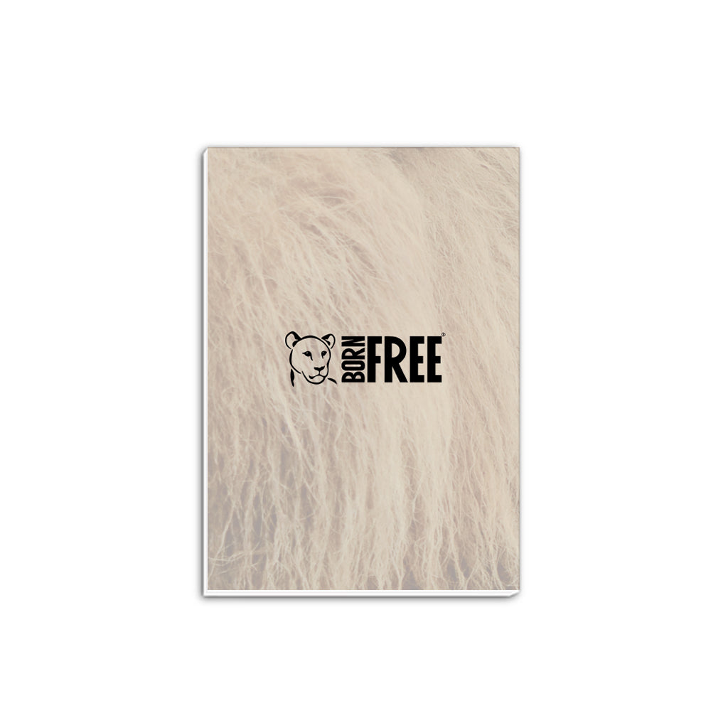 Lion A5 Notepad - Born Free Photography