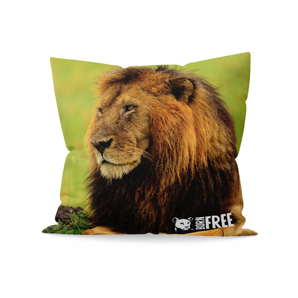 Lion Organic Cushion - Born Free Photography