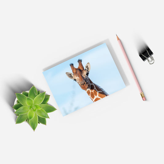 Close up Giraffe A5 Notepad - Born Free Photography