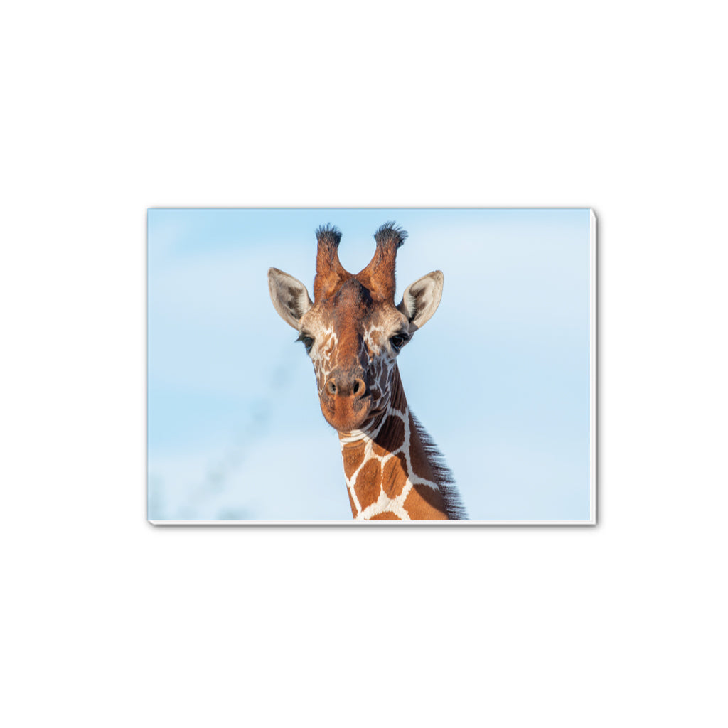 Close up Giraffe A5 Notepad - Born Free Photography