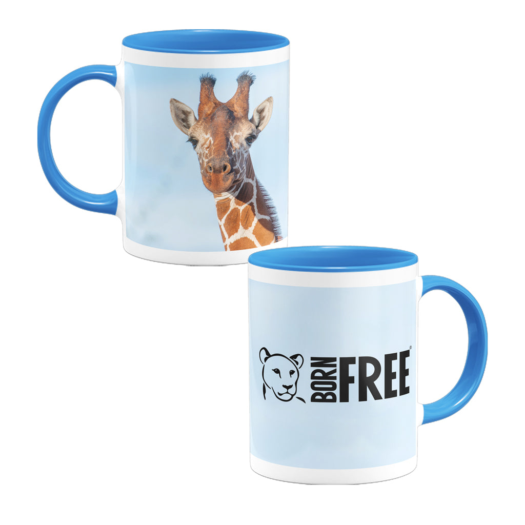 Close up Giraffe Blue Mug - Born Free Photography
