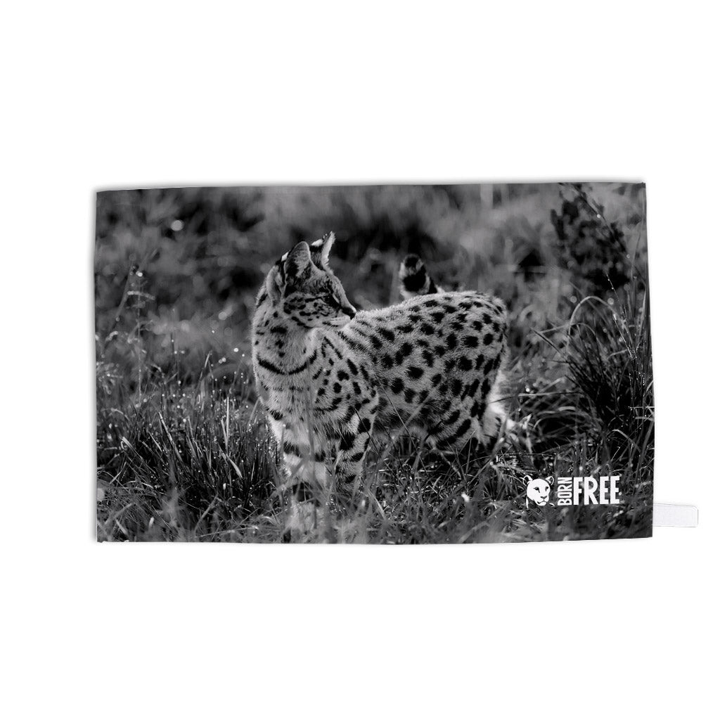 Serval Cat in Black and White Organic Tea Towel - Born Free Photography