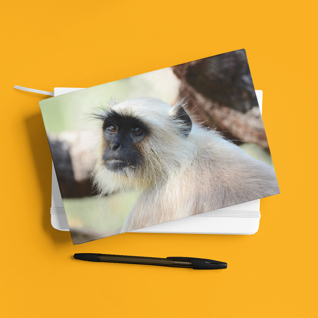 The Look  - Gray Langur A5 Notepad