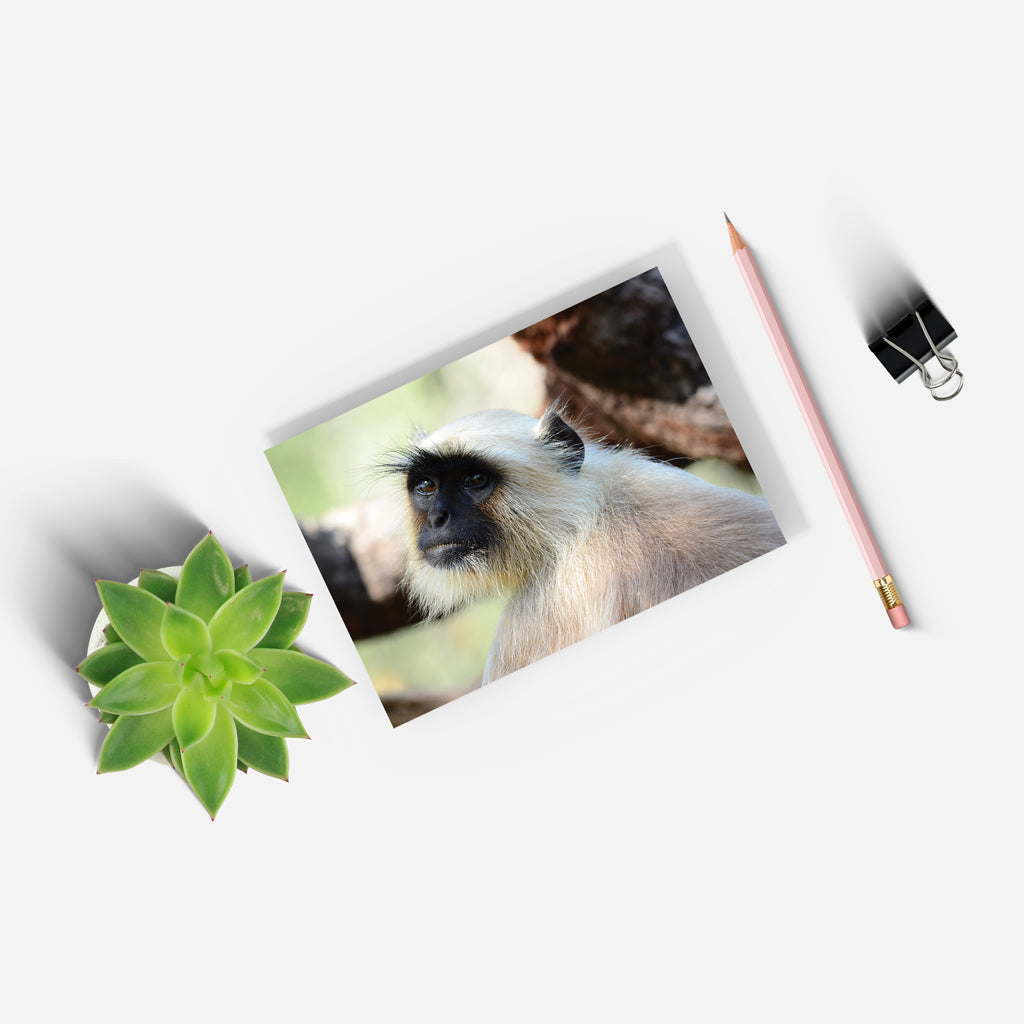 The Look  - Gray Langur A5 Notepad by Will Travers