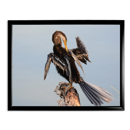 Snake Bird Art Print by Will Travers