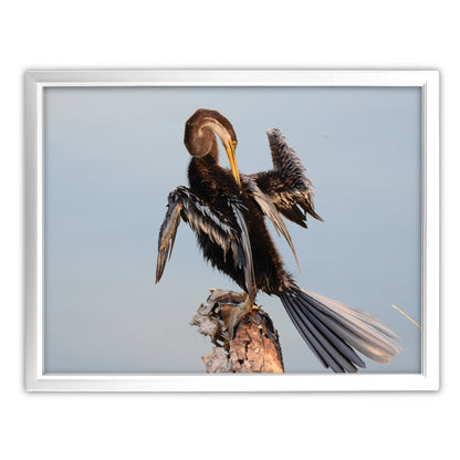 Snake Bird Art Print by Will Travers