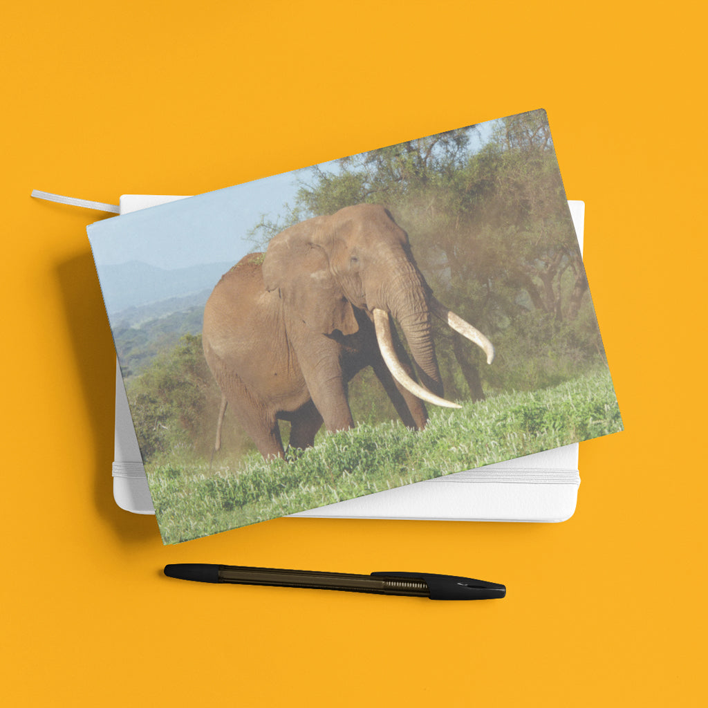 Magnificence - Elephant A5 Notepad
