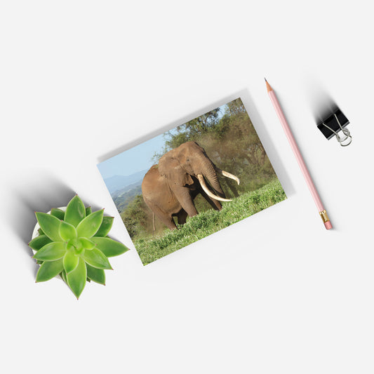 Magnificence - Elephant A5 Notepad