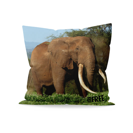 Magnificence - Elephant Organic Cushion