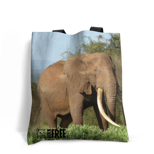 Magnificence - Elephant Tote Bag