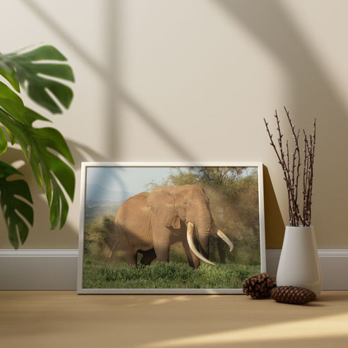 Magnificence - Elephant Art Print