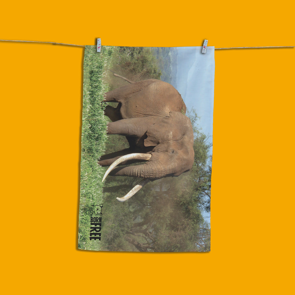 Magnificence - Elephant Tea Towel
