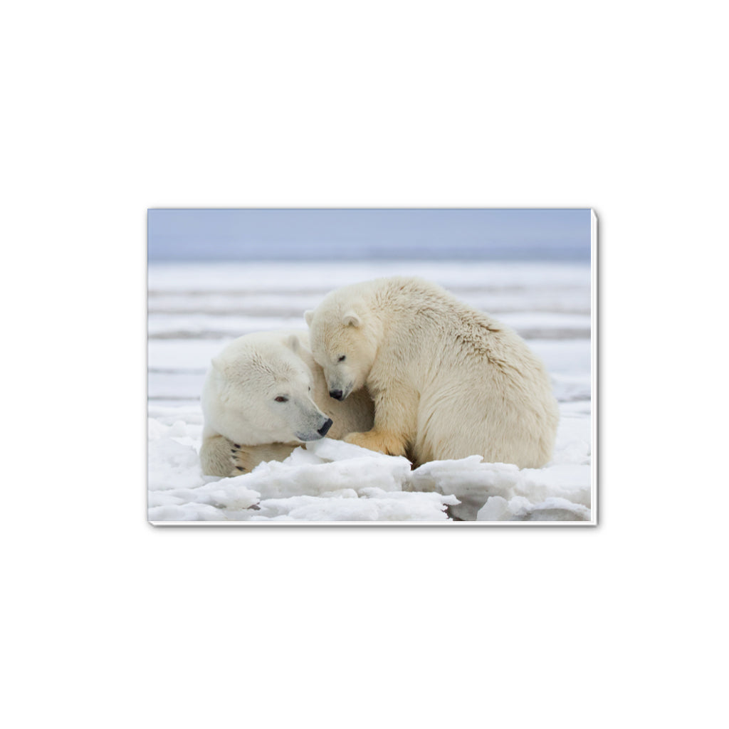 Warmth on Ice - Polar Bears A5 Notepad by Richard Bernabe