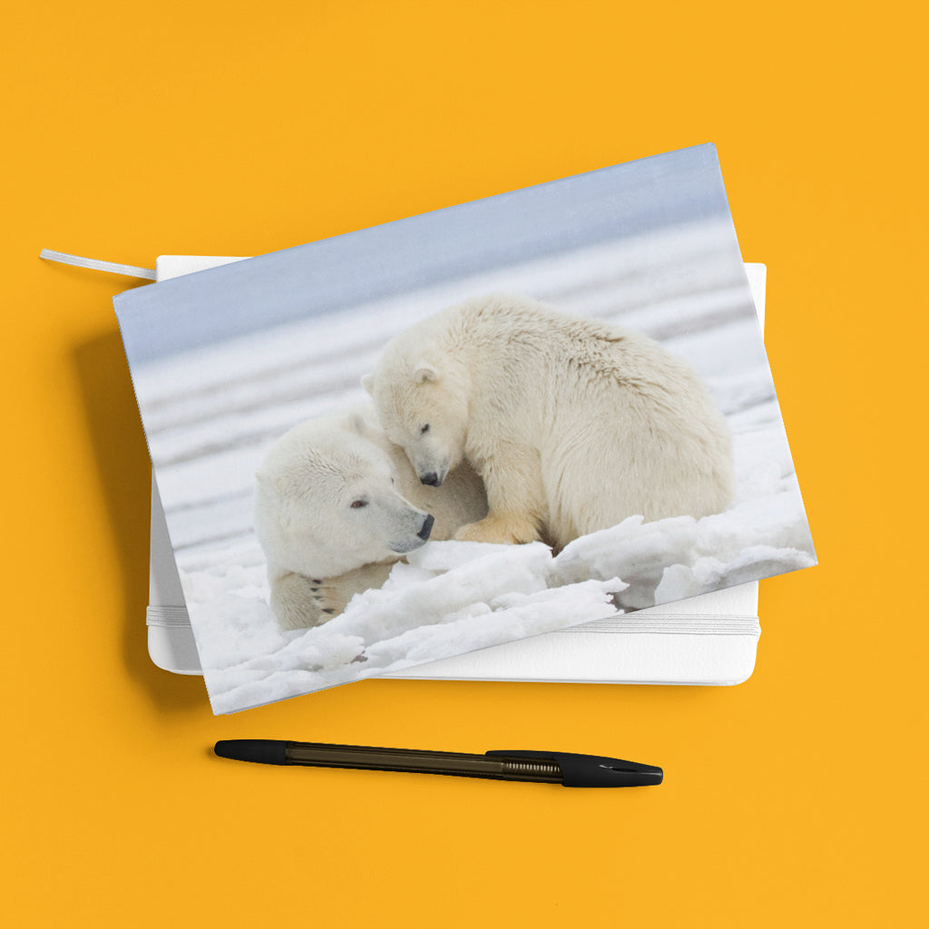 Warmth on Ice - Polar Bears A5 Notepad by Richard Bernabe
