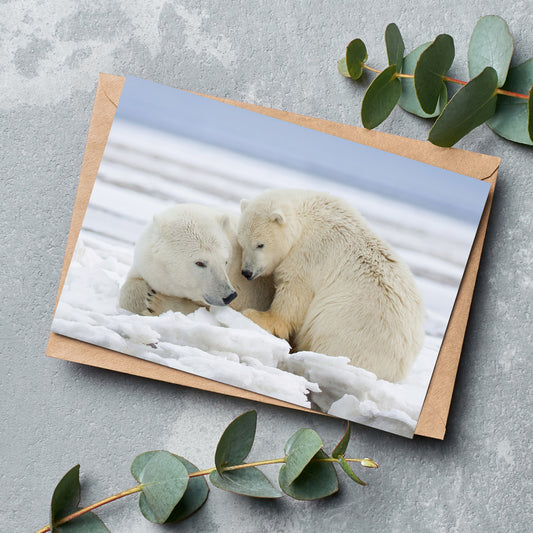 Warmth on Ice - Polar Bears Greeting Cards - Pack of 6 by Richard Bernabe