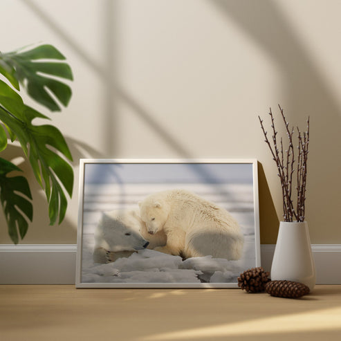 Warmth on Ice - Polar Bears Art Print by Richard Bernabe
