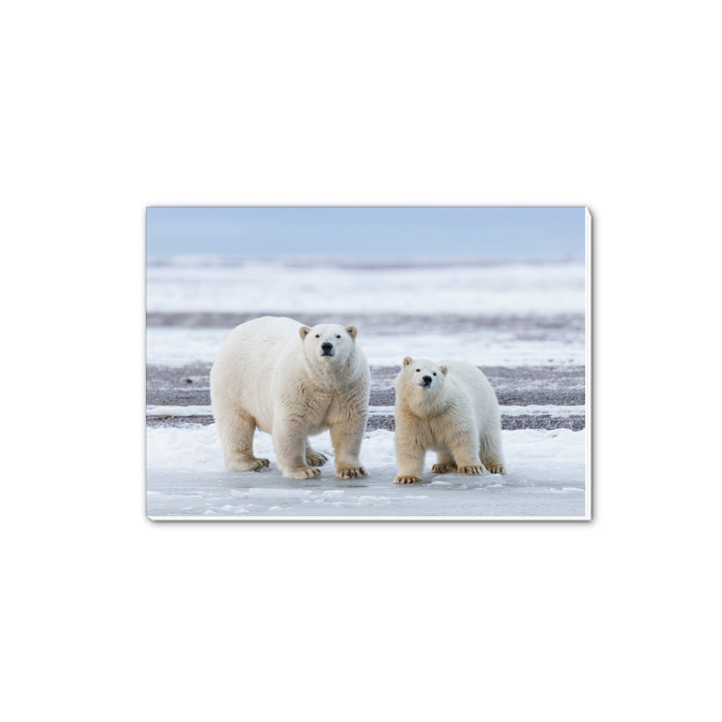 The Long Goodbye - Polar Bears A5 Notepad by Richard Bernabe