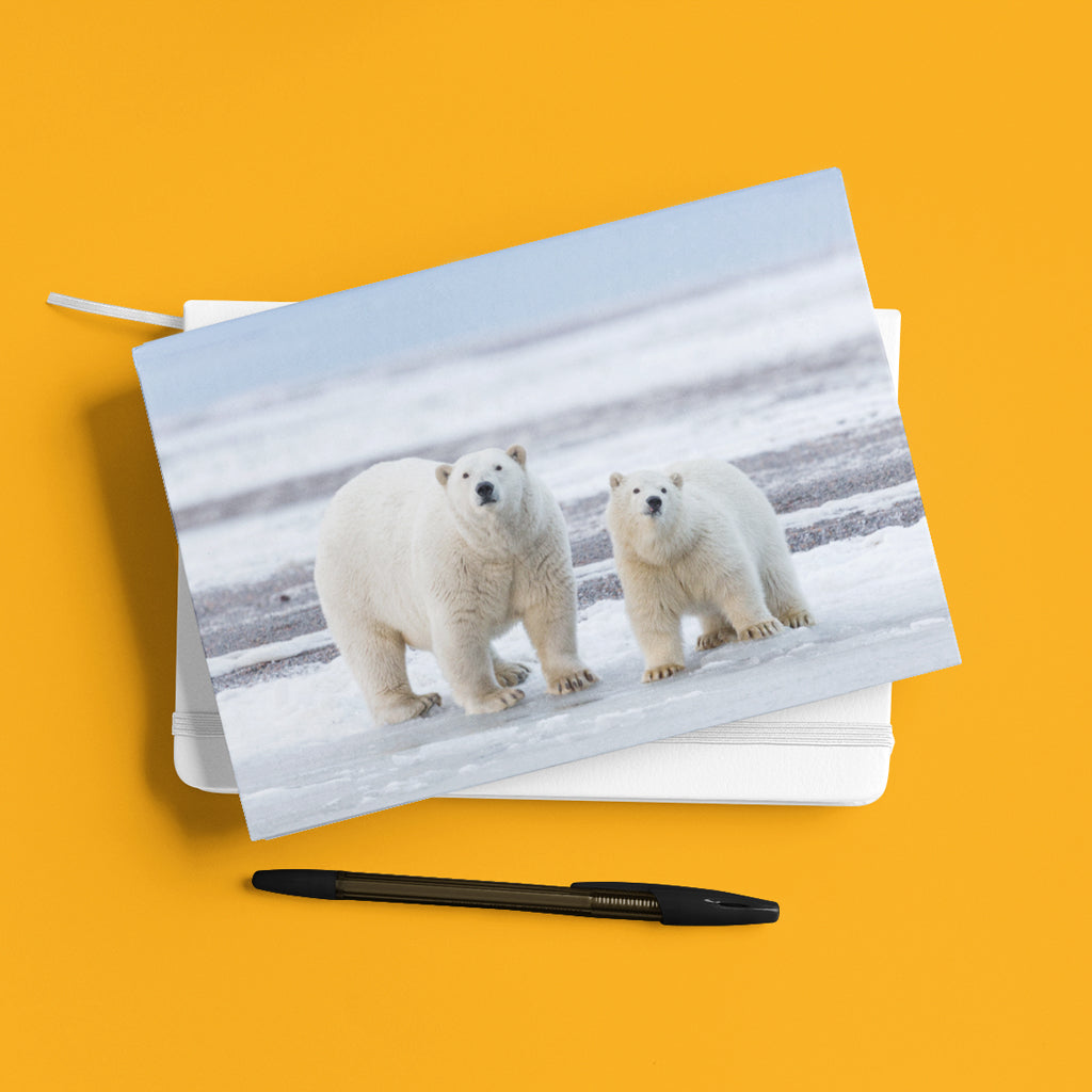 The Long Goodbye - Polar Bears A5 Notepad by Richard Bernabe