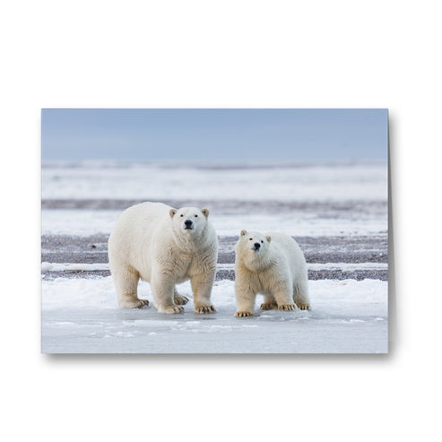 The Long Goodbye - Polar Bears Greeting Cards - Pack of 6 by Richard Bernabe