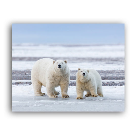 The Long Goodbye - Polar Bears Art Print by Richard Bernabe