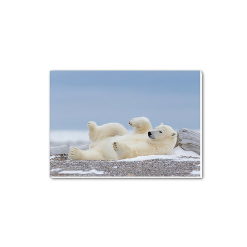 Polar Bear Blues A5 Notepad by Richard Bernabe