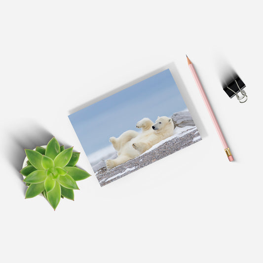 Polar Bear Blues A5 Notepad by Richard Bernabe