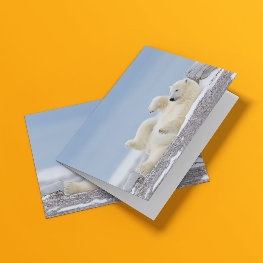 Polar Bear Blues Greeting Cards - Pack of 6 by Richard Bernabe