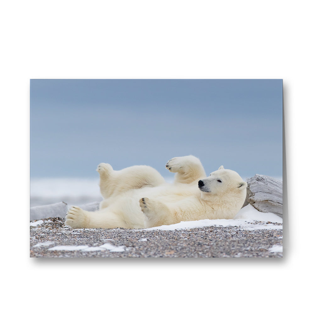 Polar Bear Blues Greeting Cards - Pack of 6 by Richard Bernabe