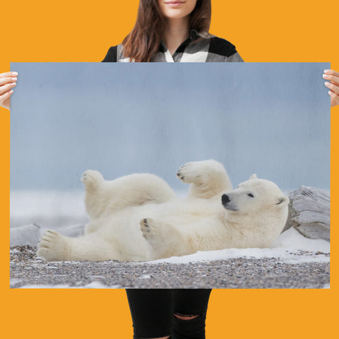 Polar Bear Blues Art Print by Richard Bernabe